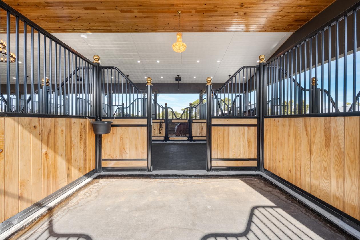 Premier 19.62 Acre Equestrian Estate in SW Florida - photo 4