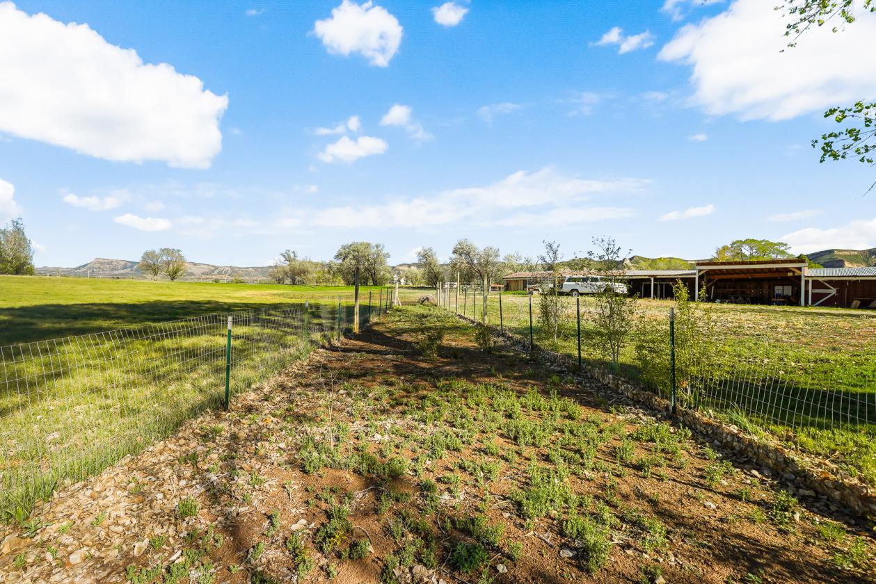 Mini Ranch with VIEWS - photo 21