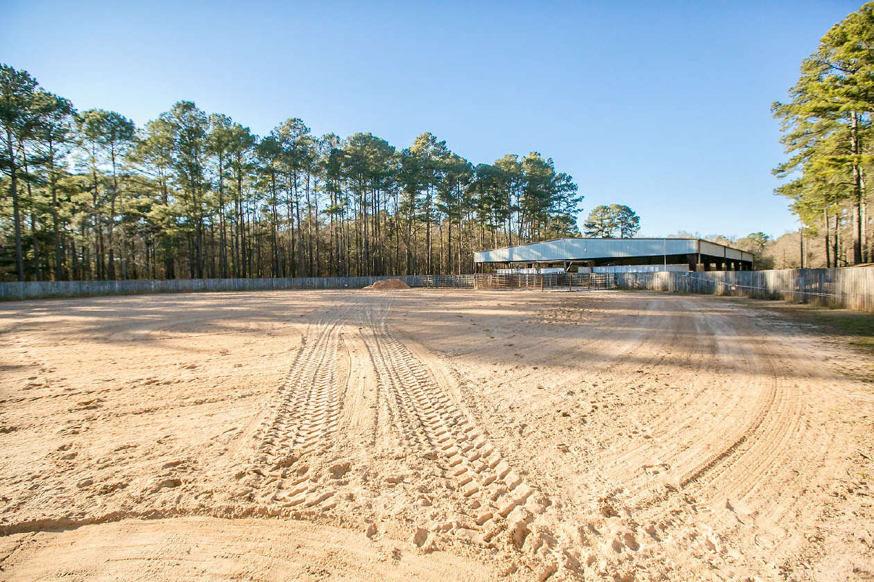 1,600 Acres in Sumter National Forest North Augusta Edgefield SC