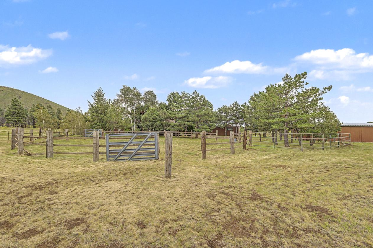 Horse Property on Nearly 4 Acres - photo 12