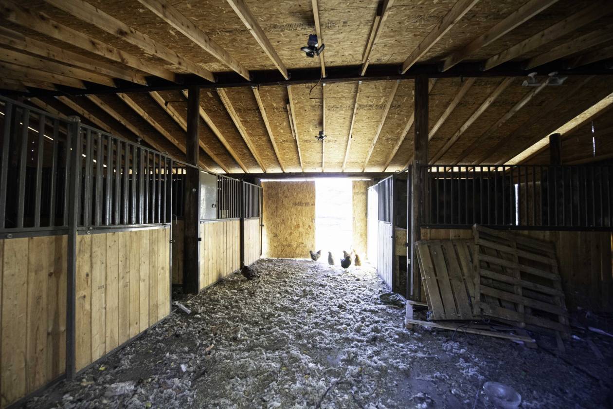 Horse Property for sale.