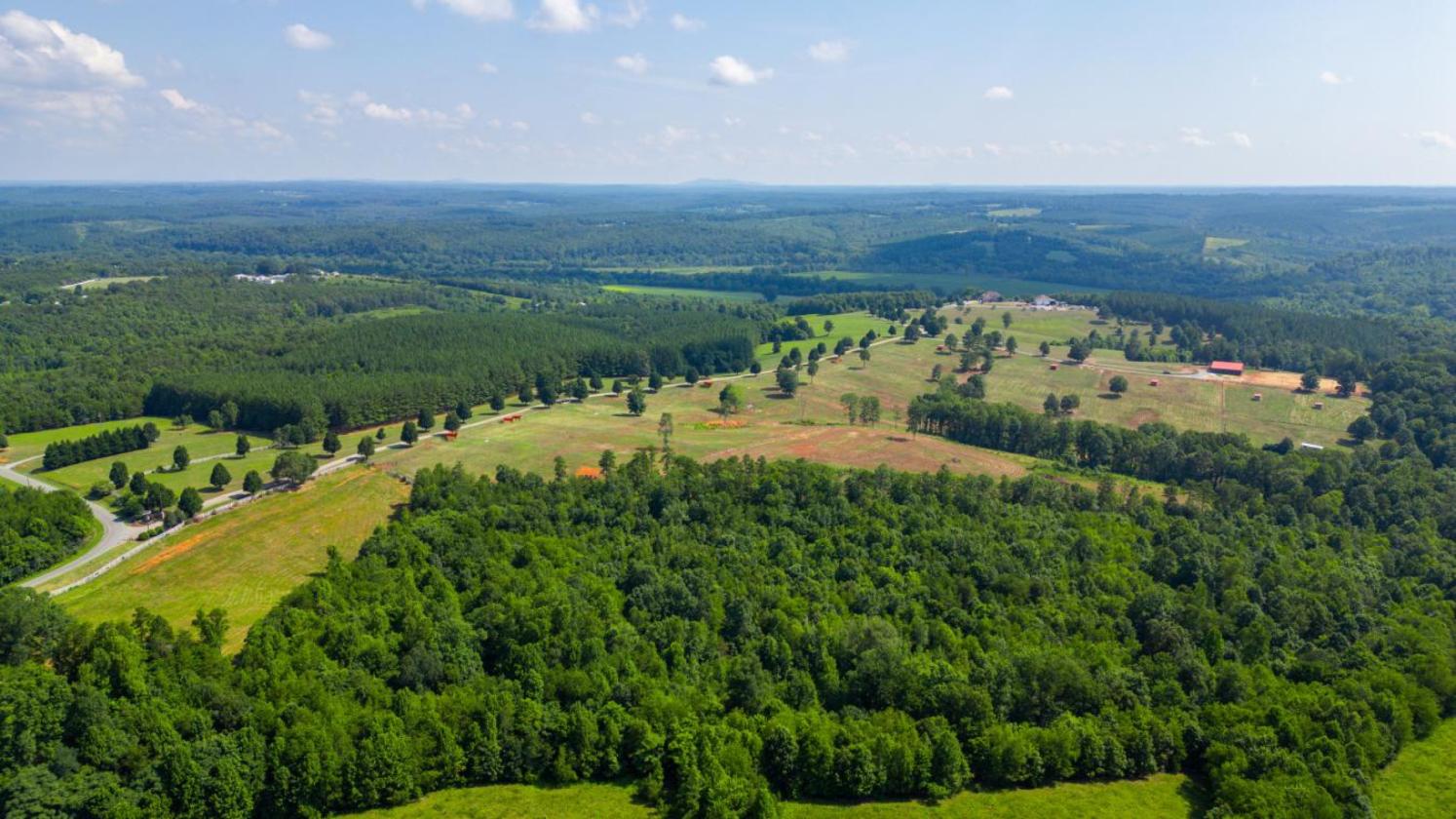 Where Equestrian Dreams Meet Reality - photo 11