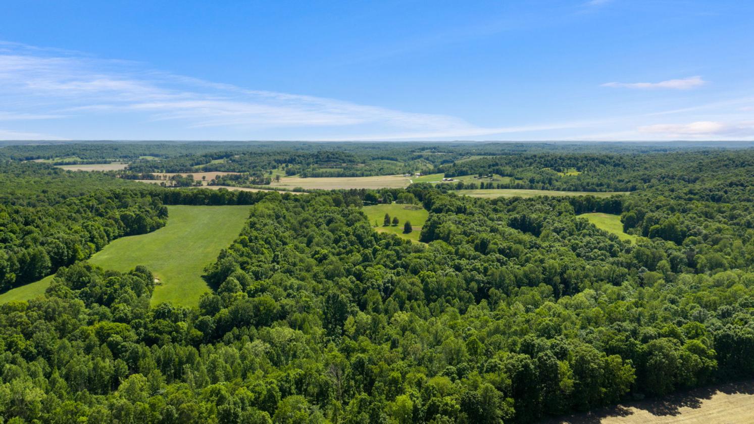 125-Acre Kentucky Farm with Pond, Pasture & Woods - photo 14