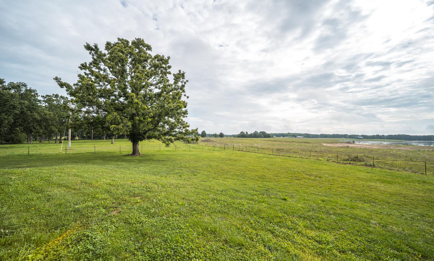 Cuba Countyside Retreat - photo 23