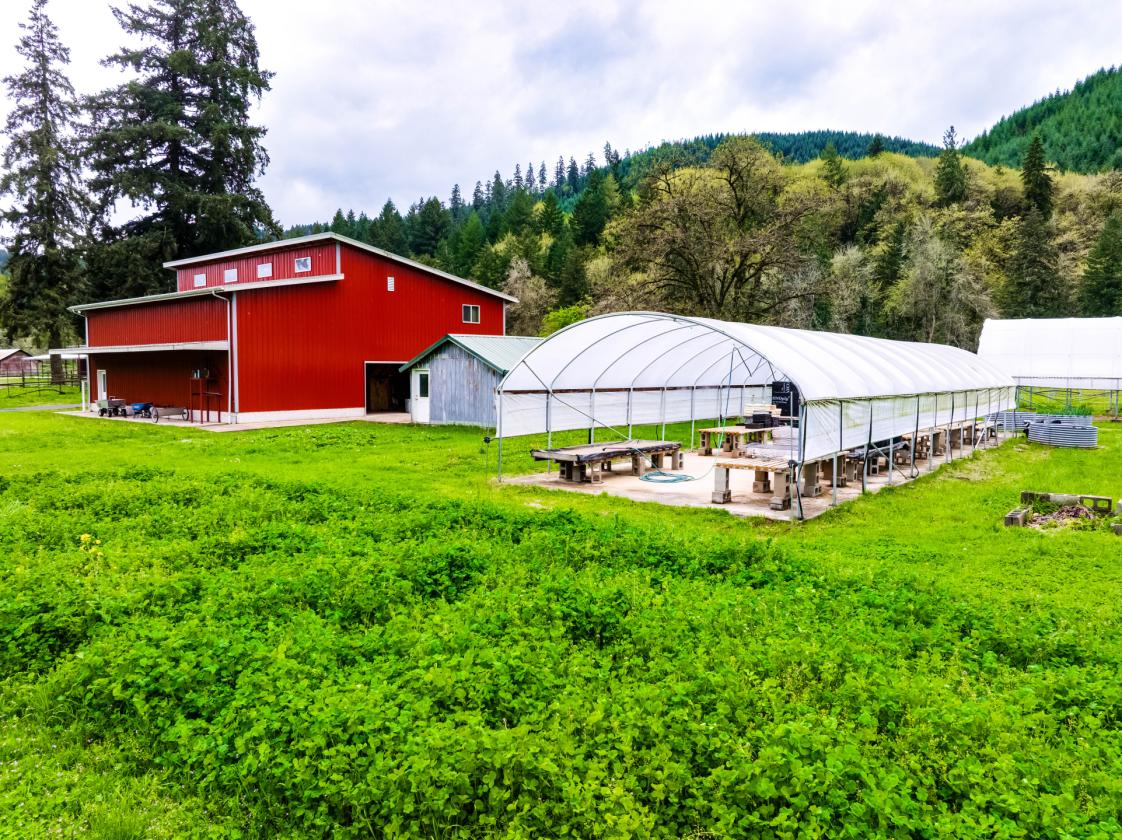 UNIQUE EQUESTRIAN AND ORGANIC FARM PROPERTY - photo 16