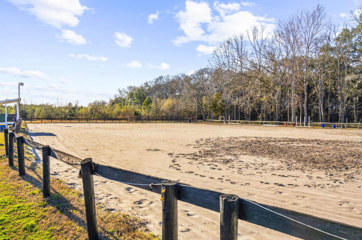 Dream Horse Property on Almost 16 Stunning Acres - photo 13