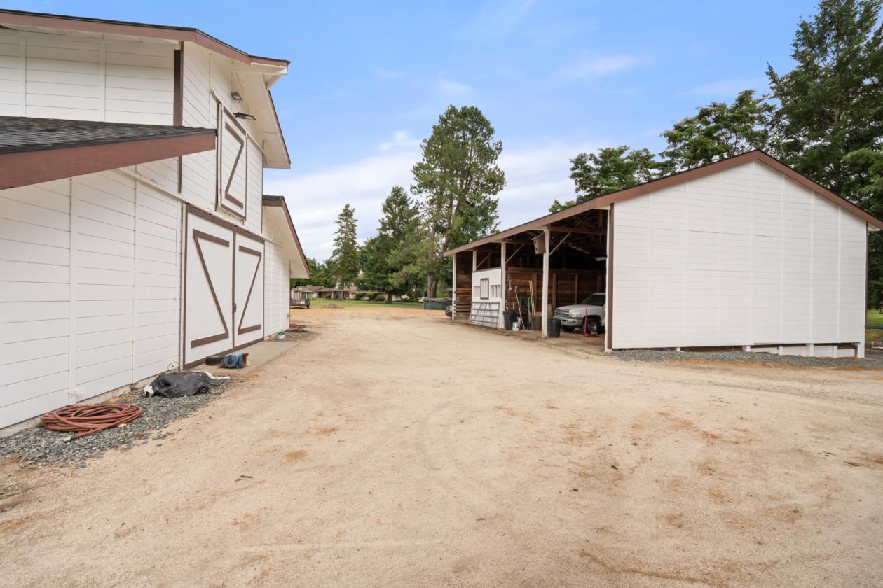 Roguemere Ranch River Equine Elegance - photo 21