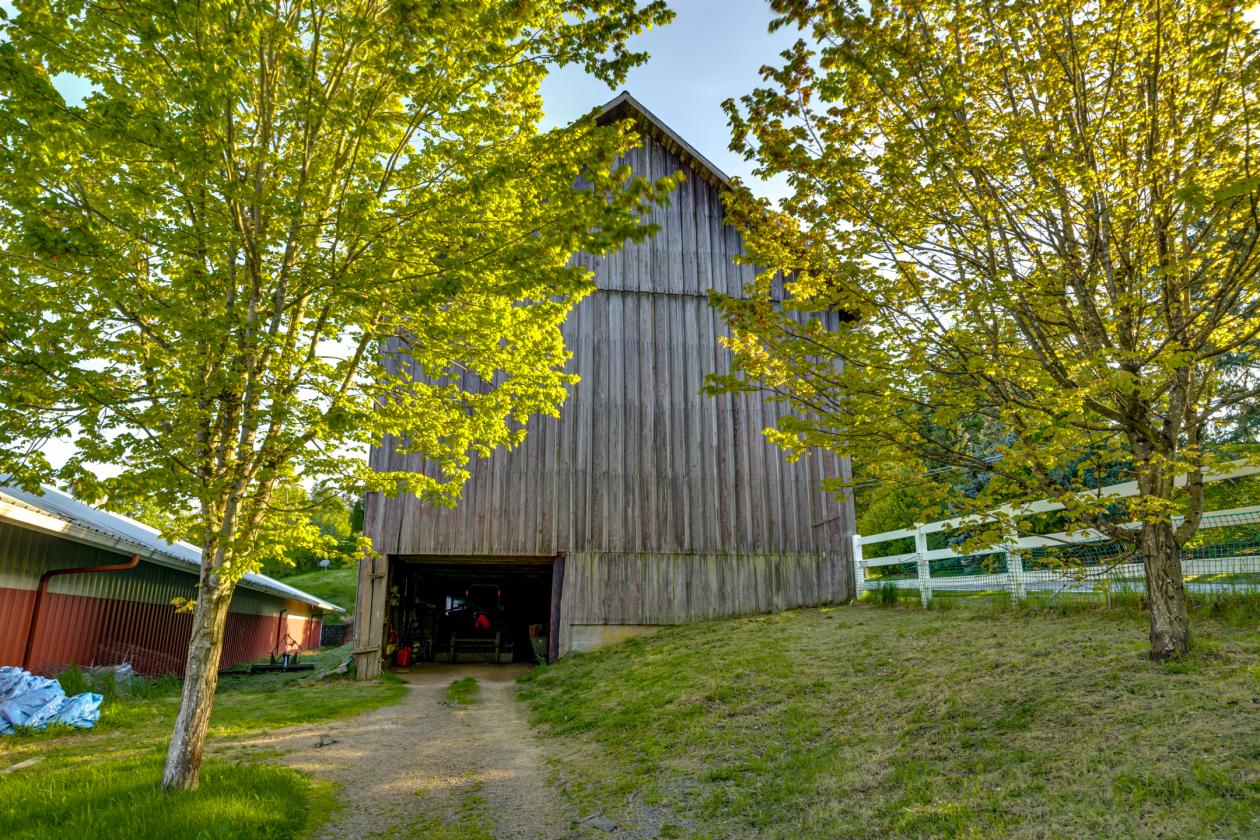 Gated 25-acre equestrian estate with sweeping Mt. - photo 24