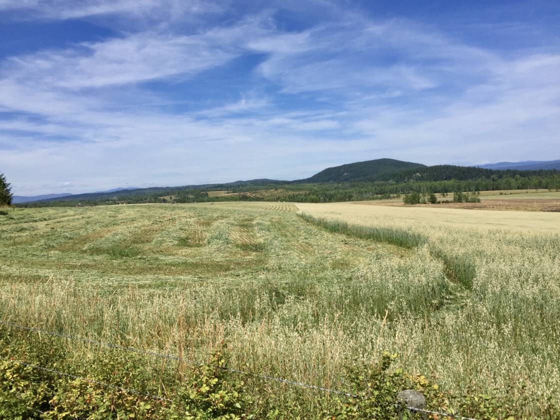 LIMESTONE MOUNTAIN RANCH HORSES, CATTLE, RECREATION Big Lake Ranch