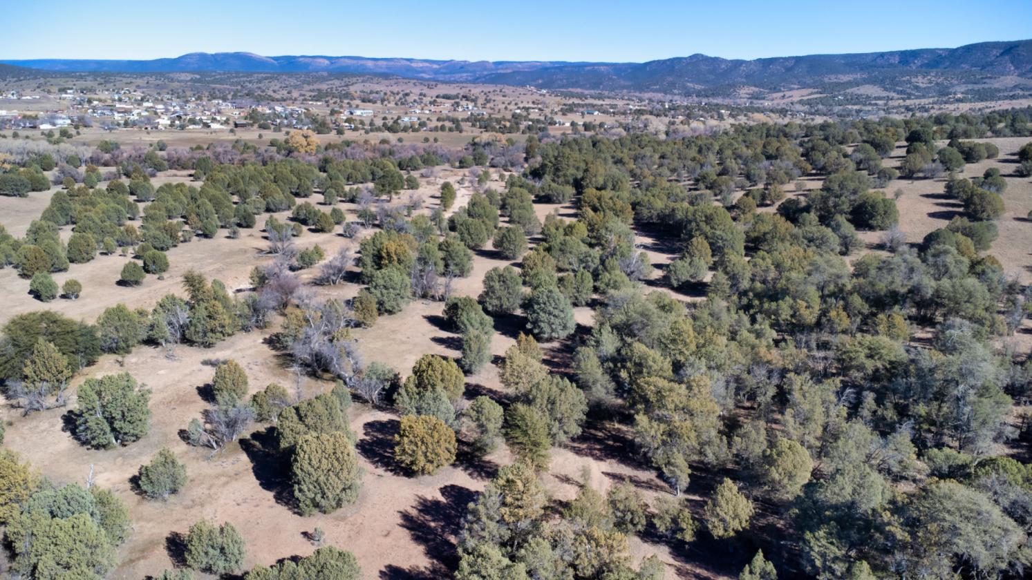 River Ranch - Young, AZ - 159± Acres - photo 10