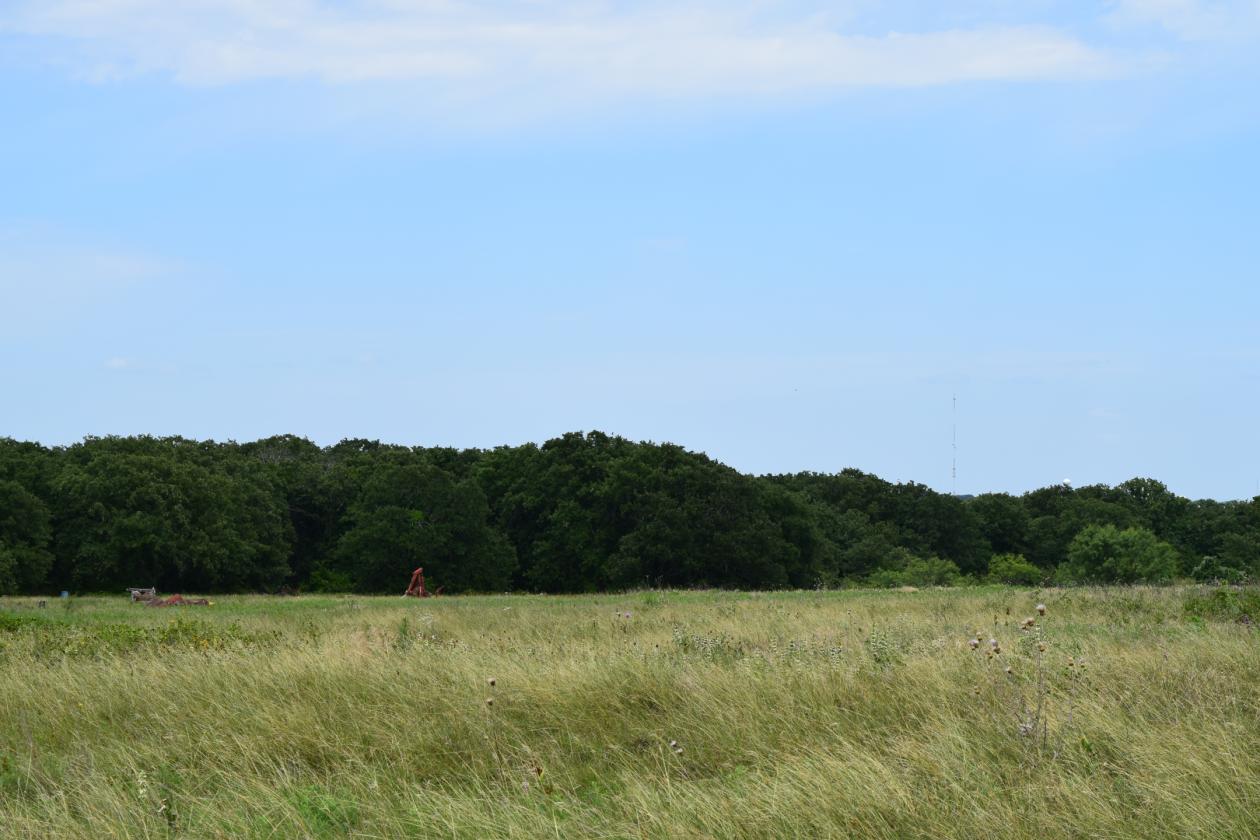 Motivated Seller- 17 acres Parker County - photo 7