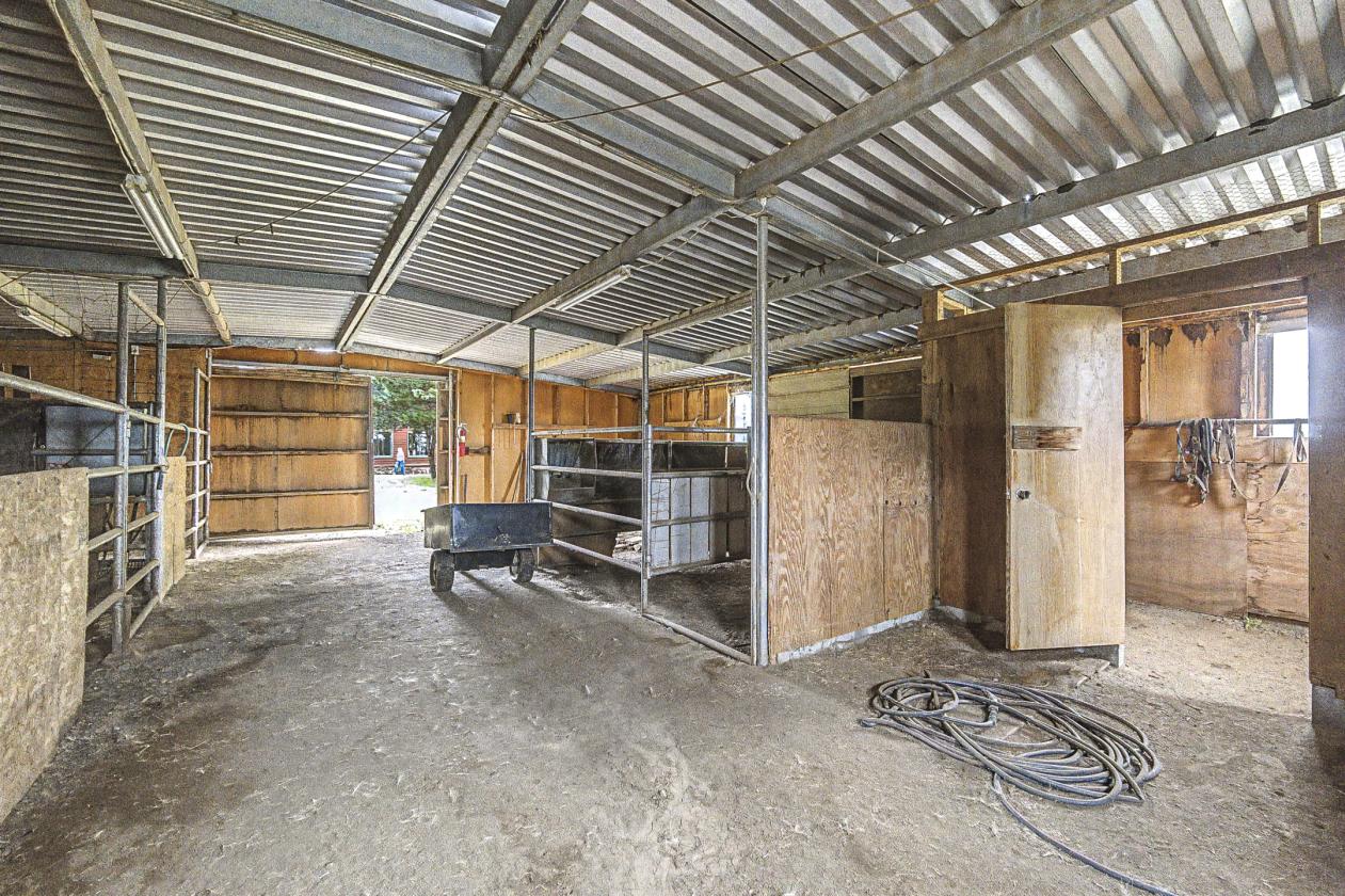 Horse Property on Nearly 4 Acres - photo 7