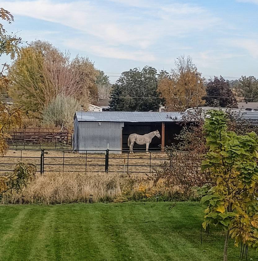 Horse Property for sale.