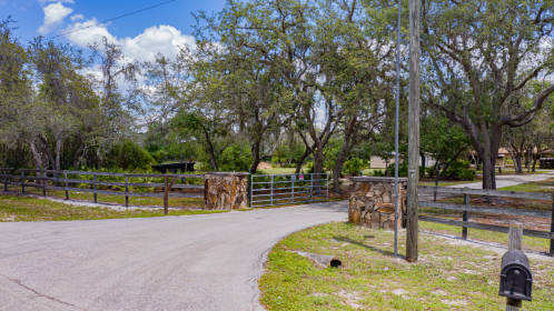 gorda situated blackjack horseproperties