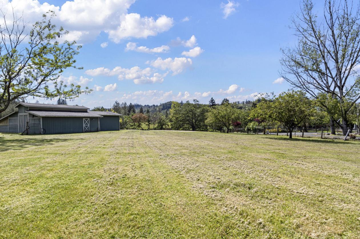 5 Acre horse property, fully remodeled home! - photo 11