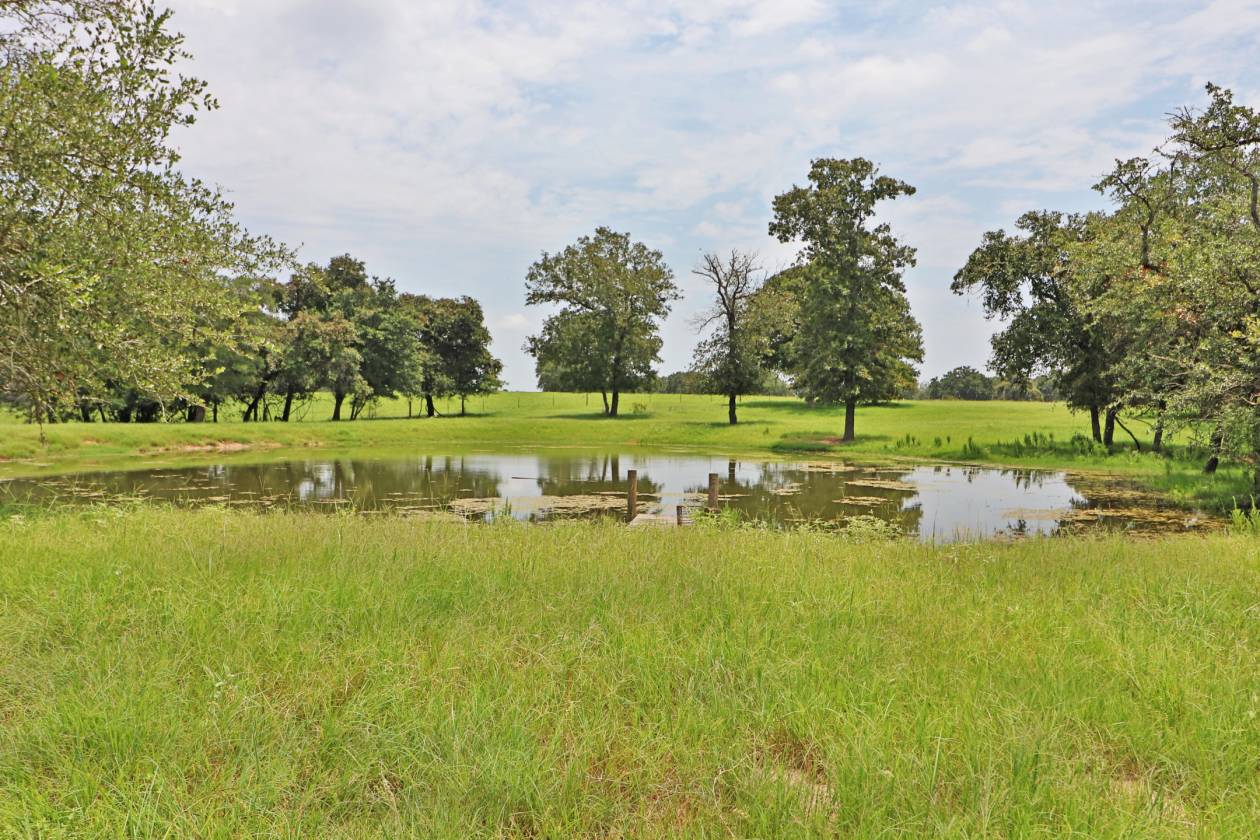 San Antonio Area 50+ Acre Luxury Equestrian Ranch Estate, Big