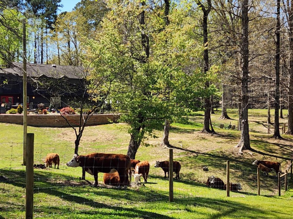 Gentleman's Country Farm - photo 2