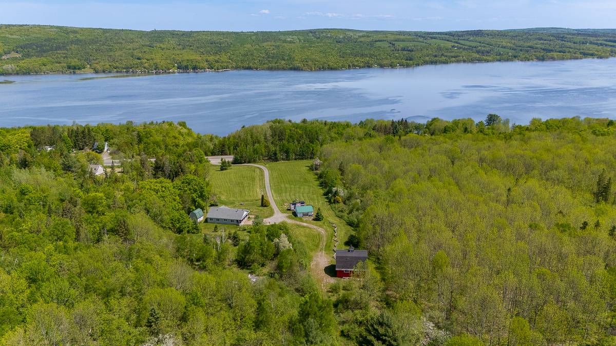 Horse Property for sale.