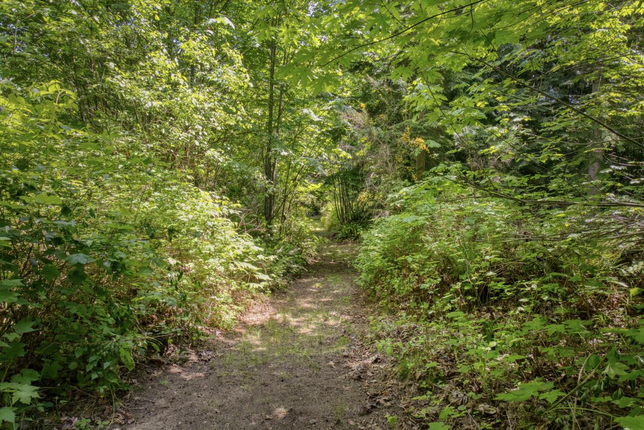 PNW Acreage with trails for Equestrians! - photo 26
