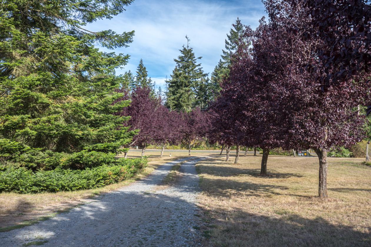 Happy Valley Ranch - photo 28