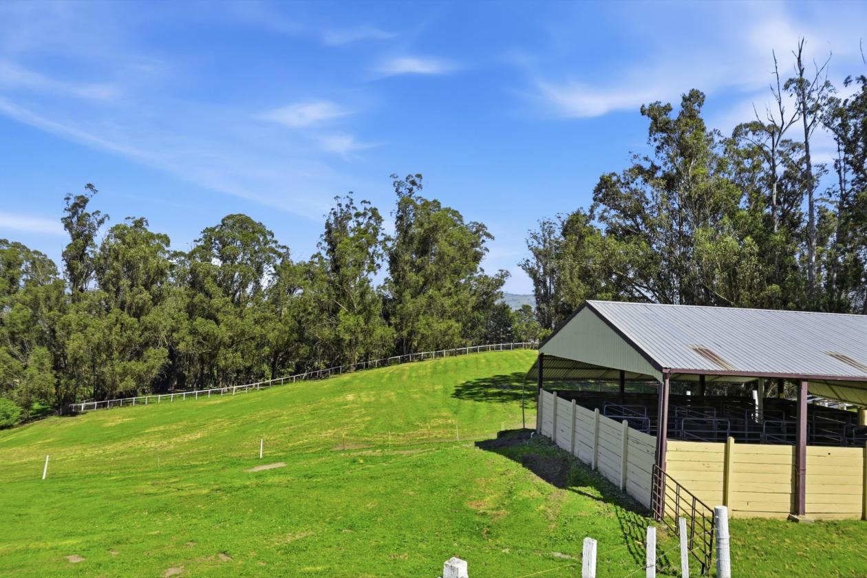 Sonoma County Equestrian Facility - photo 4