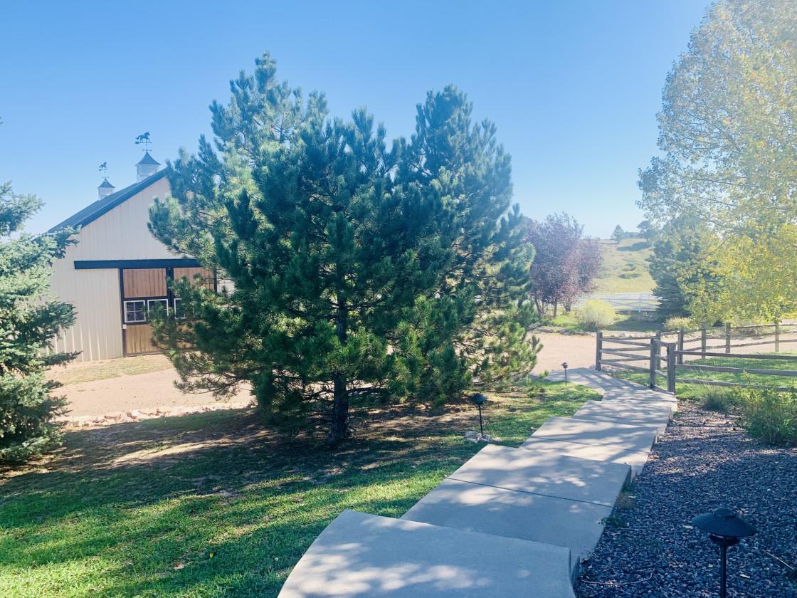 Custom 13.53 Acre Horse Property - photo 5