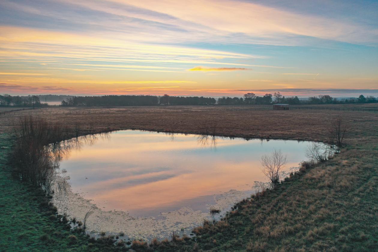 Huntsville 50 Ranch - photo 27