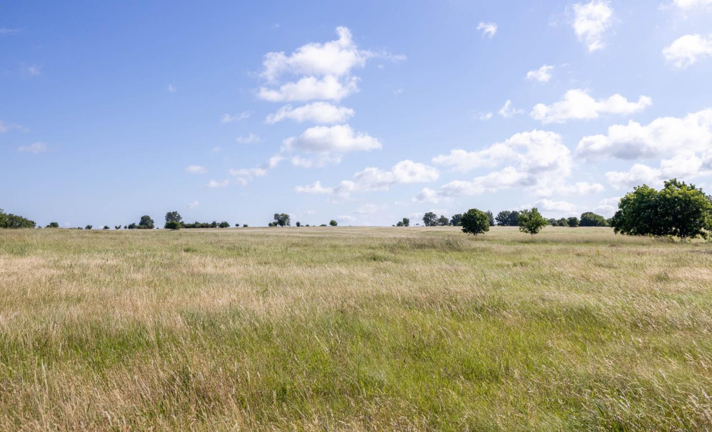 Bryant Ranch - photo 9