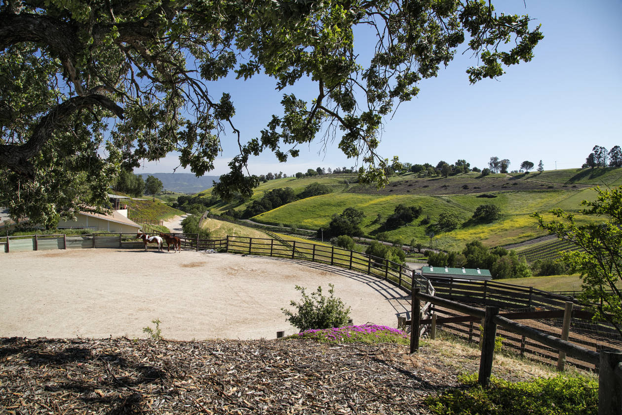 Equestrian facility with stunning panoramic views and vineyard