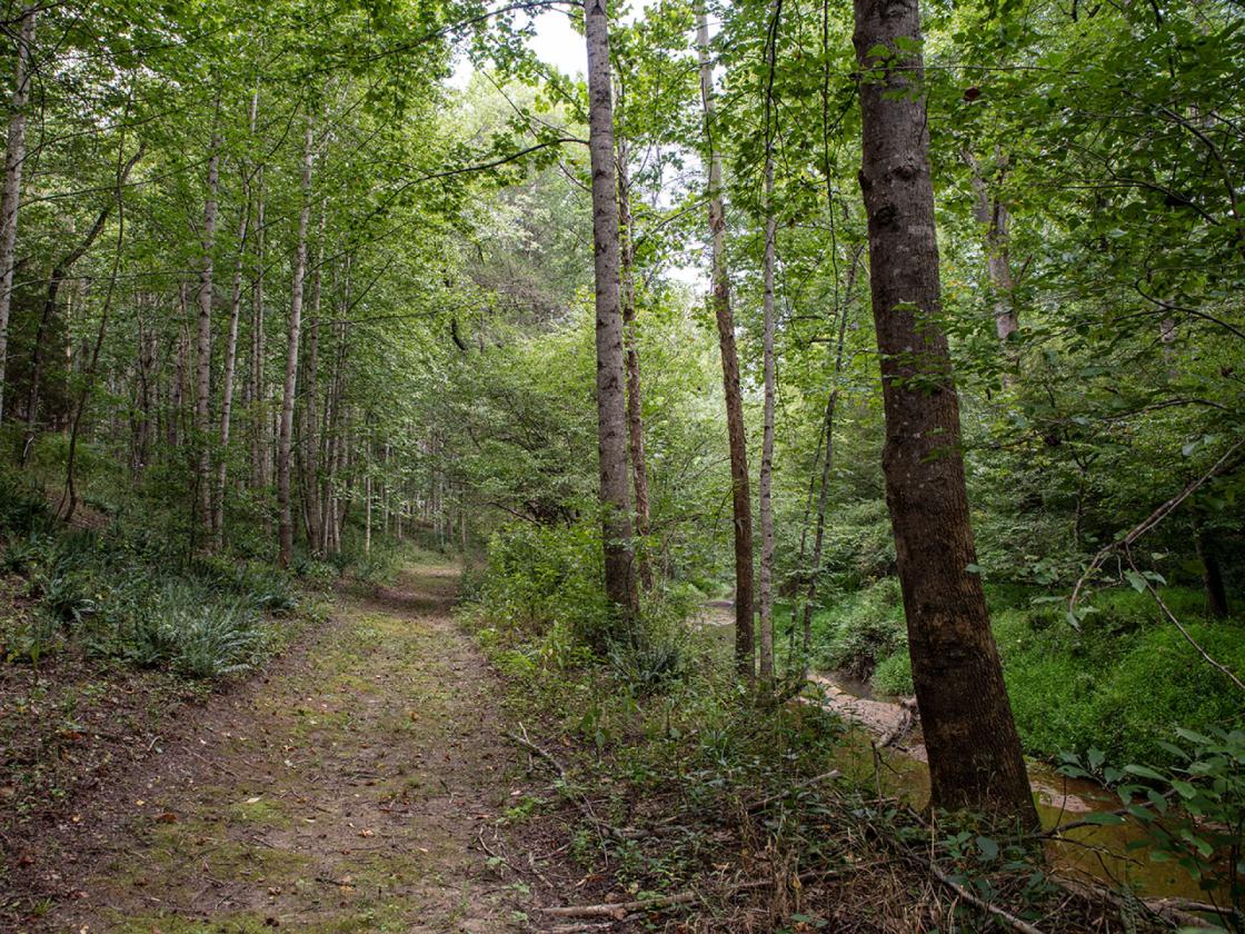 44-Acre Horse Farm - photo 28