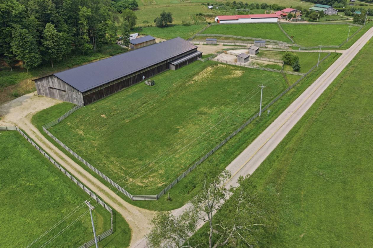 Exceptional Mohican Equine Estate Auction - photo 6