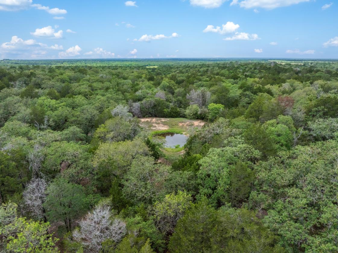 99 Unrestricted acres - photo 12