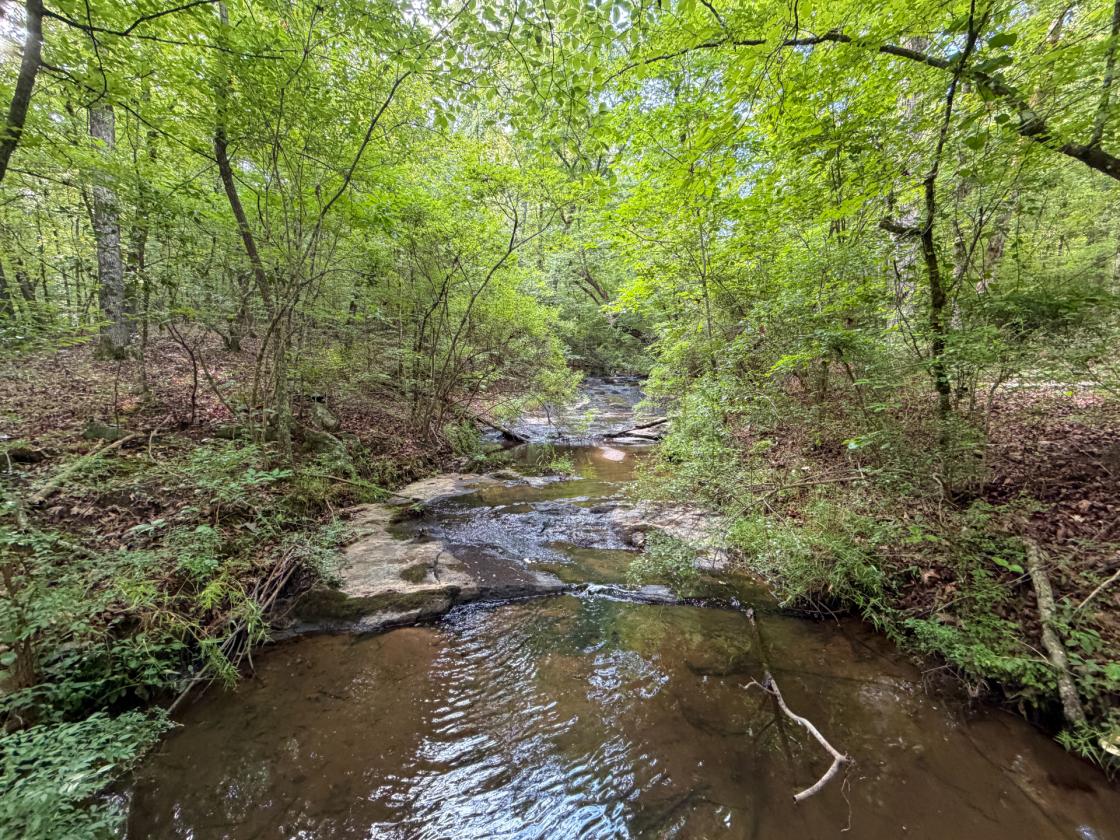 Bear Creek Retreat - photo 3