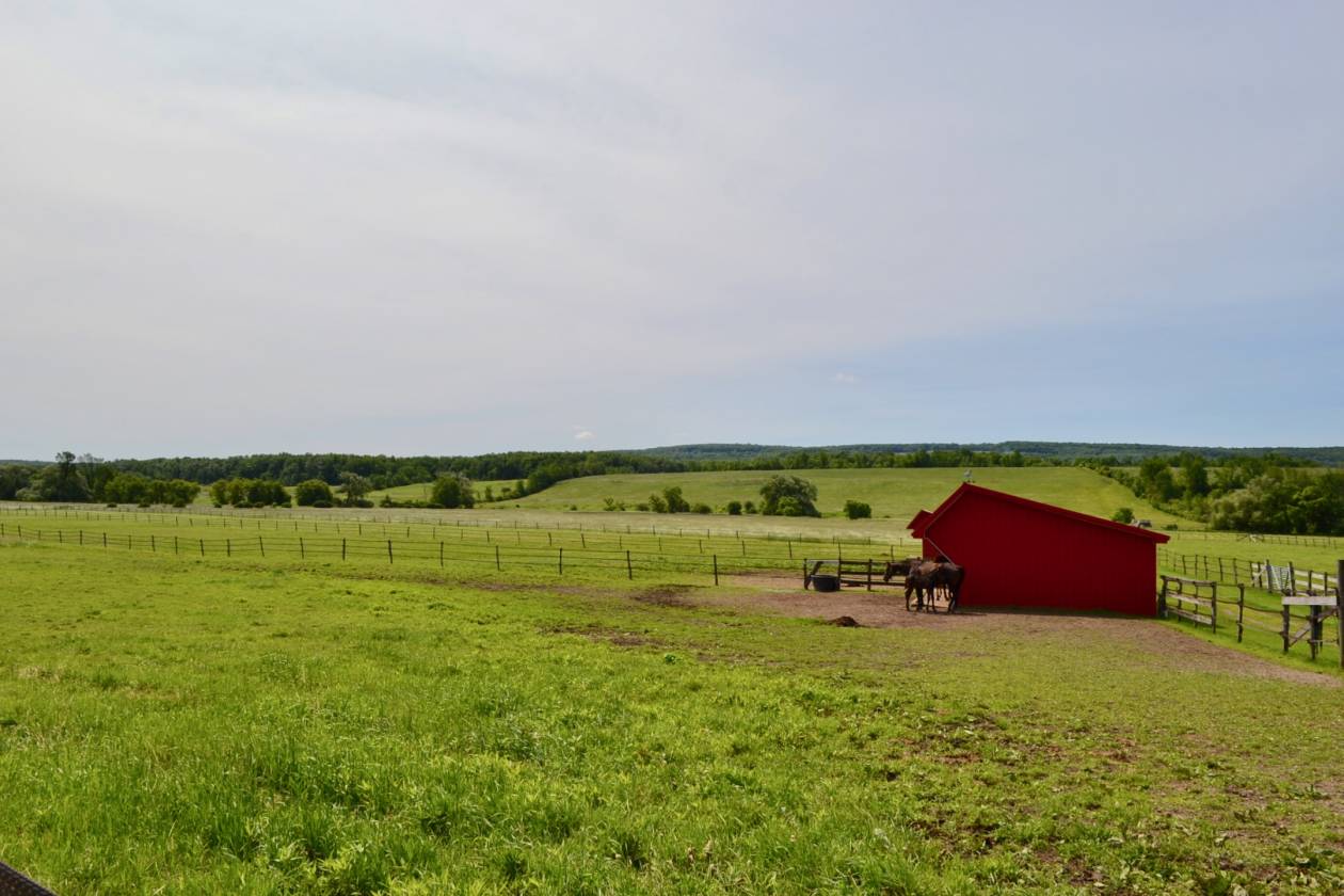 STUNNING HORSE FARM & FARM HOUSE WITH A VIEW... Canajoharie