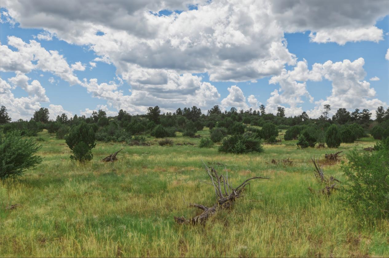 200 Acres in Yavapai County - photo 23