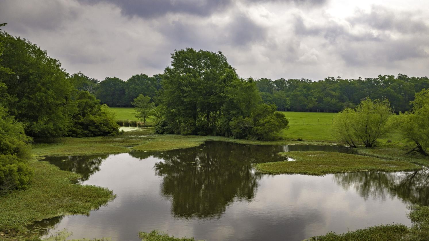 Complete Turnkey Country Horse Property - photo 18