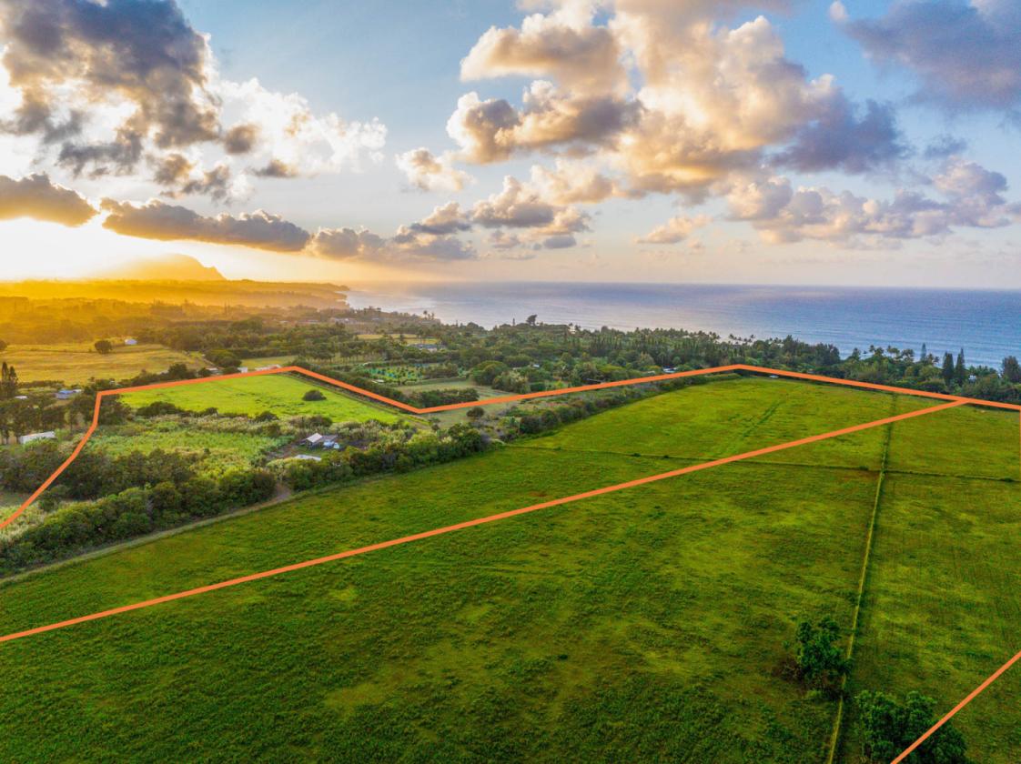 58+ Acres of Prime Land on Kauai's North Shore - photo 12