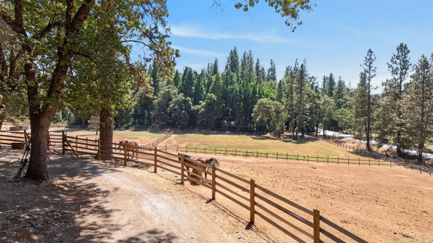 The Equestrian Lifestyle You've Been Waiting For - photo 16