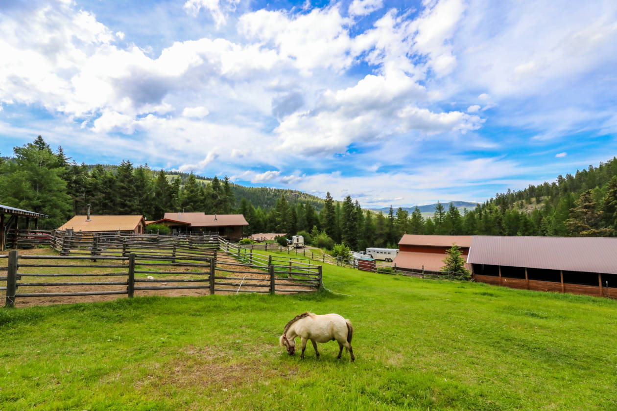 Unique Montana horse property with 2 barns,riding arena and tack