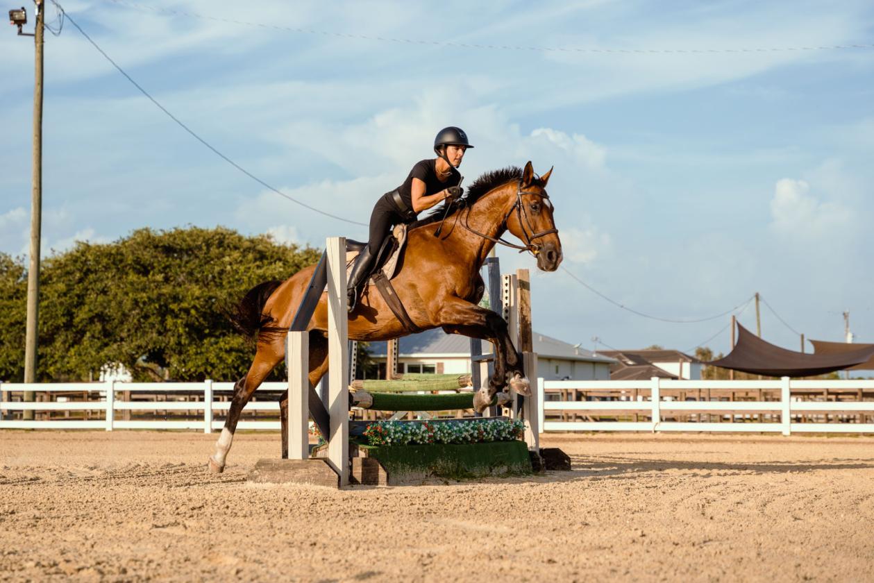 Upgraded equestrian estate on 5 acres - photo 25