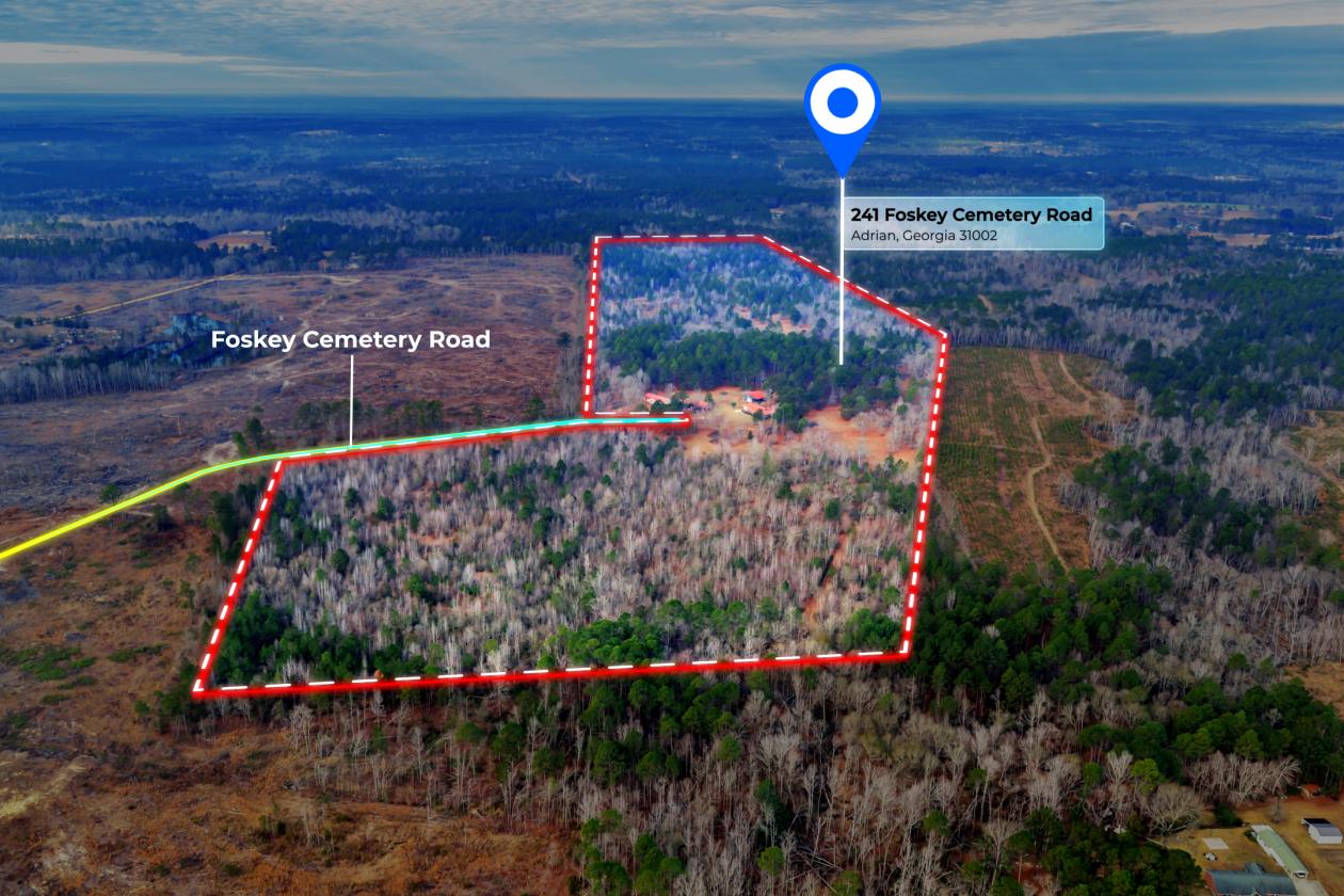 88.95 acres and 3 homes on this secluded property! - photo 24