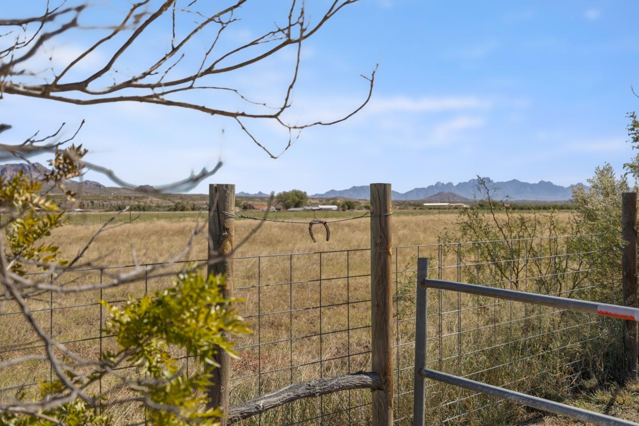 7 ACRE HORSE PROPERTY WITH THREE HOUSES - photo 7