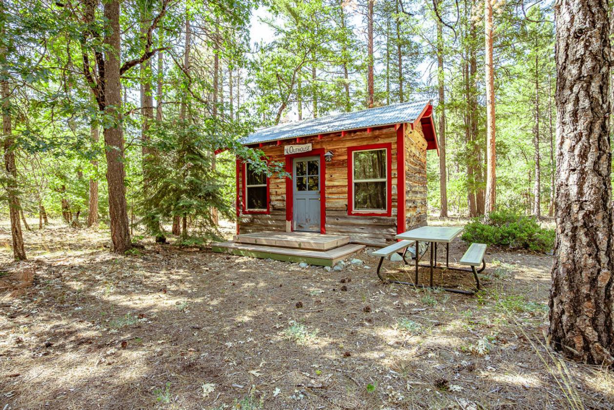 5 Cabins, Pond and Creek Frontage - photo 19