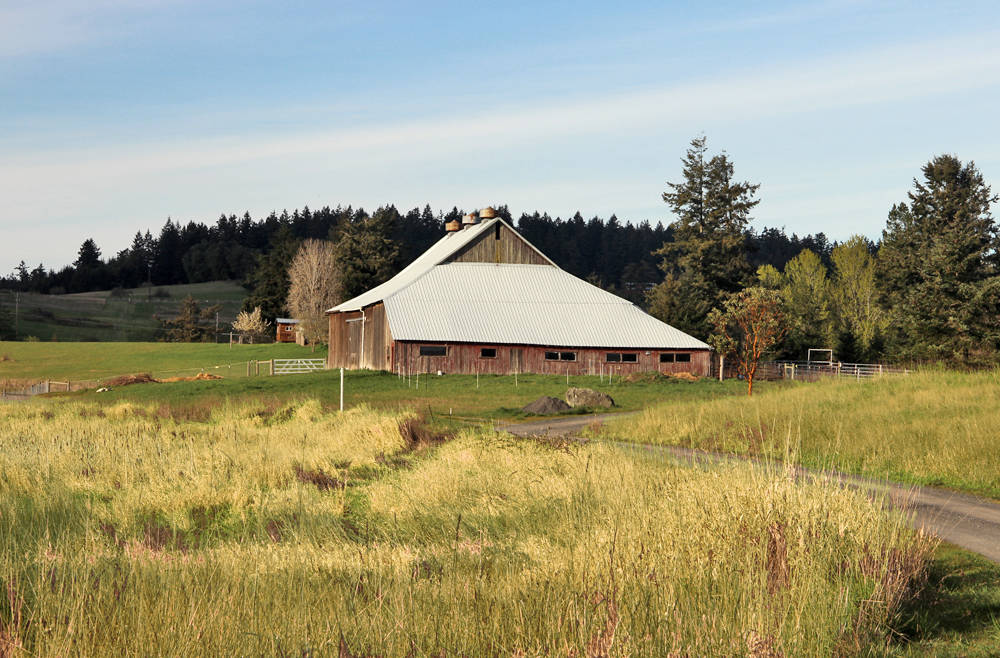 Home on 5 Acres Friday Harbor, San Juan County, Washington