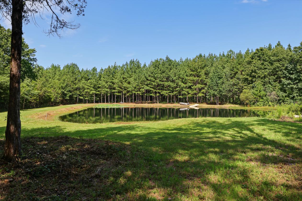 Spacious Home on 60 Acres - photo 5