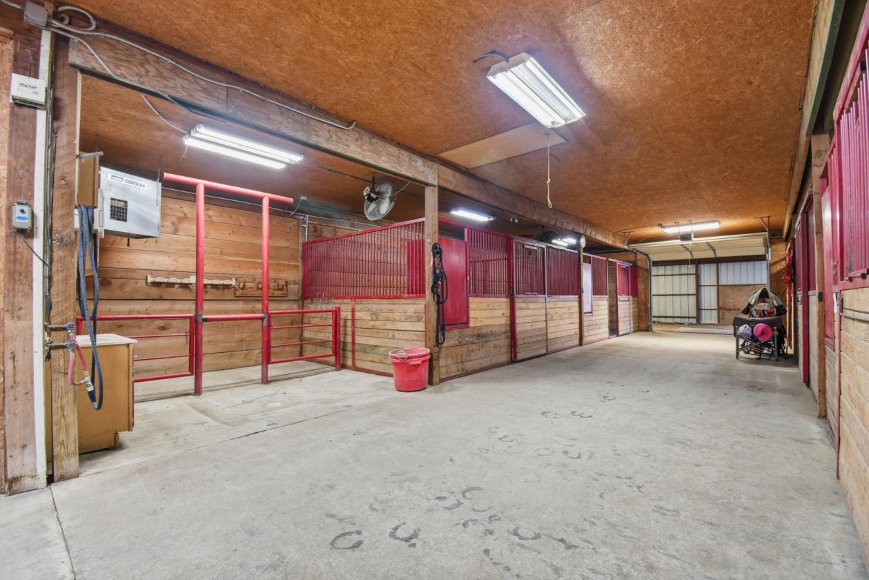 Equestrian Dream with Deluxe Horse Setup - photo 17