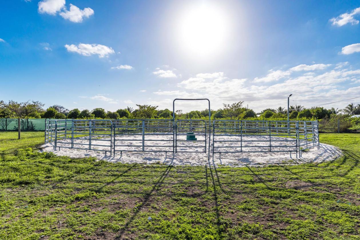 Luxury Home | 2-Stall Barn | Round Pen | Paddocks - photo 5
