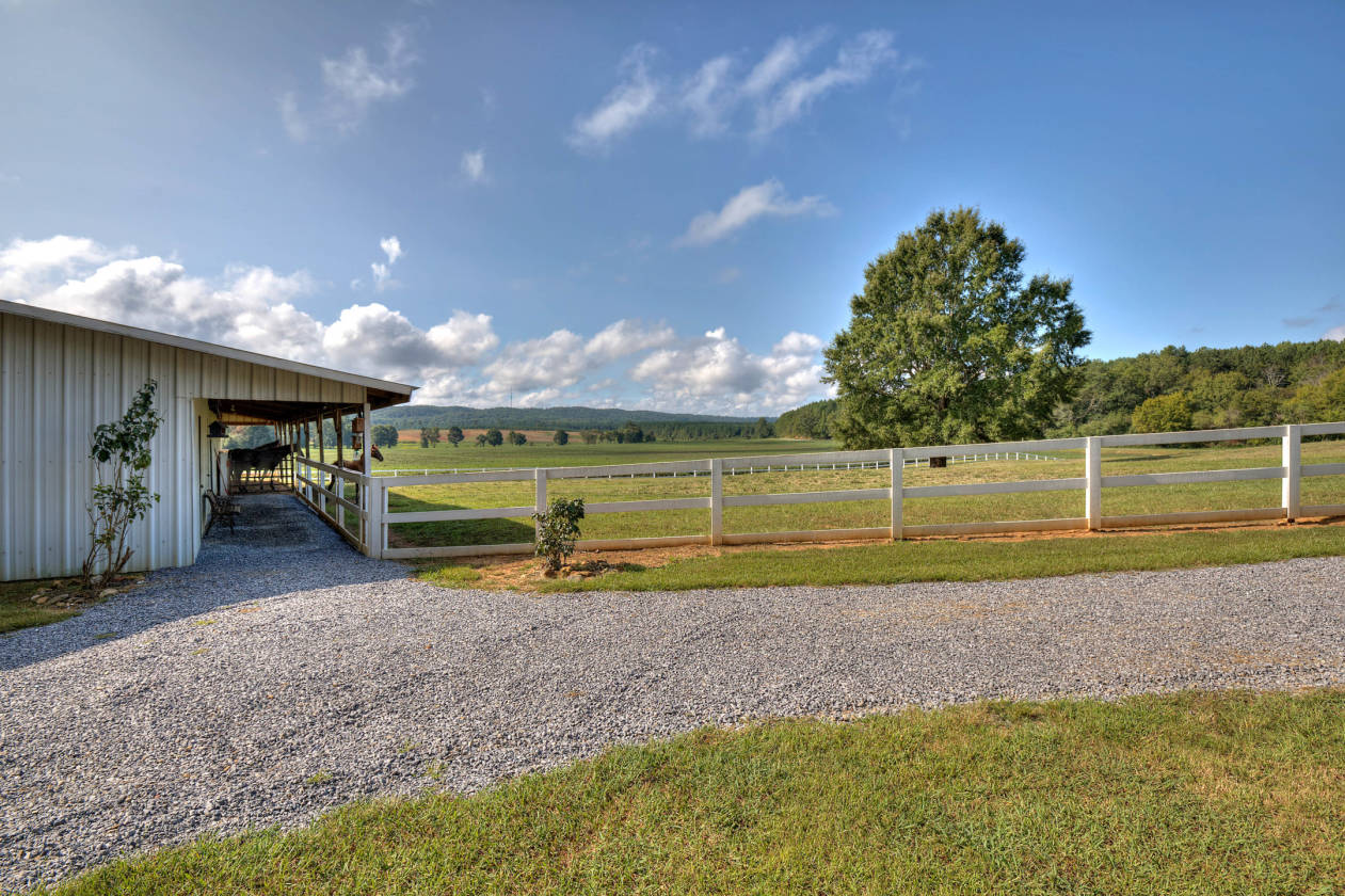 to Hill Farm!!! Home to World Champion Tennessee