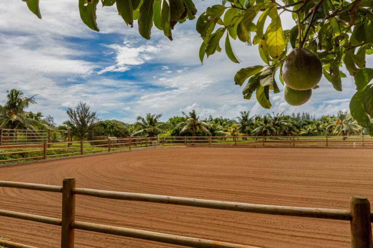 Agricultural & Equestrian Haven in Kauai - photo 21