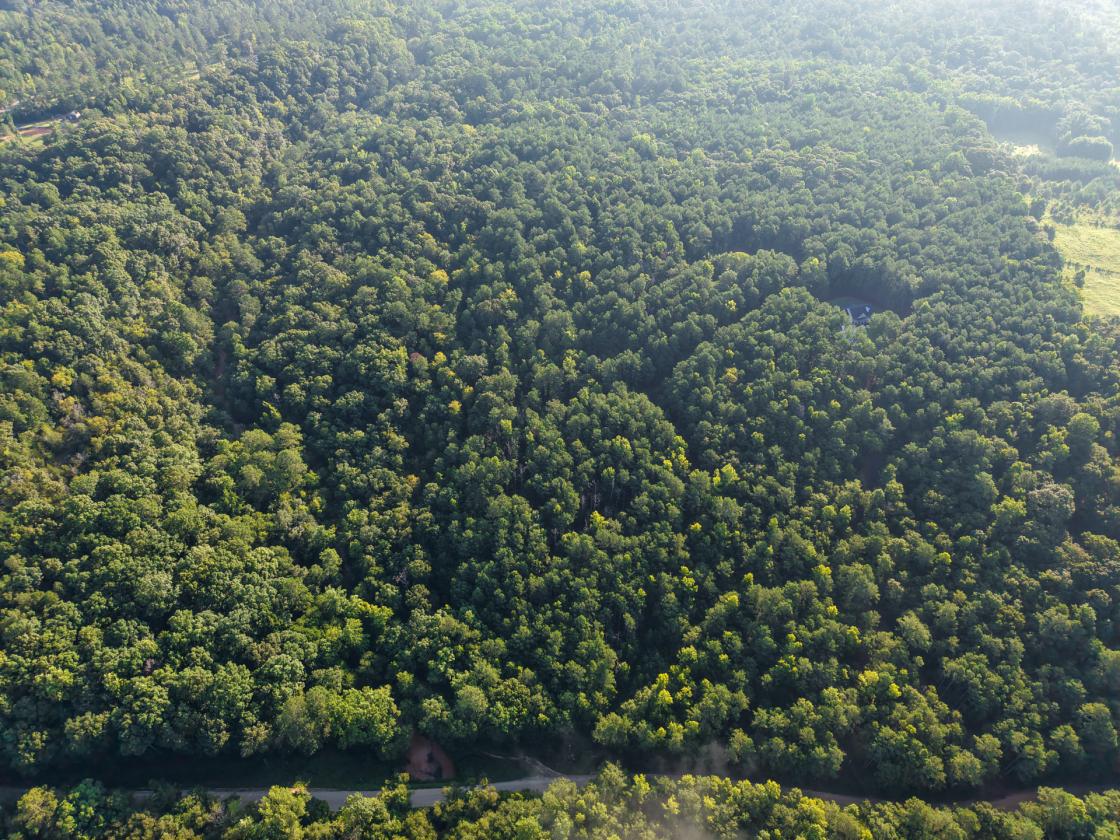 Bear Creek Retreat - photo 12